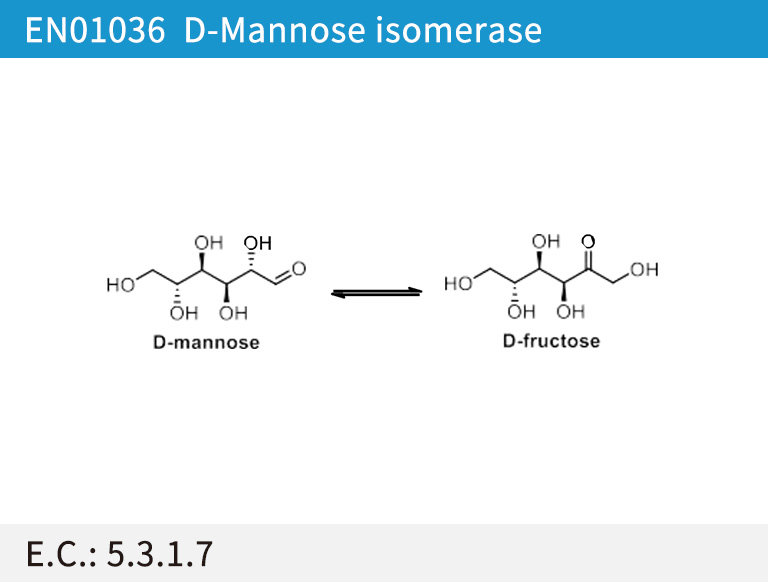 EN01036 D-Mannose isomerase