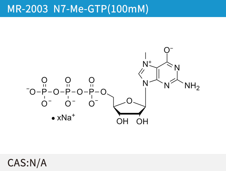 N7-Me-GTP