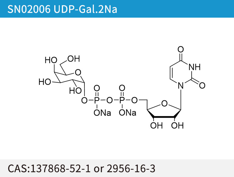 SN02006 UDP-Gal.2Na