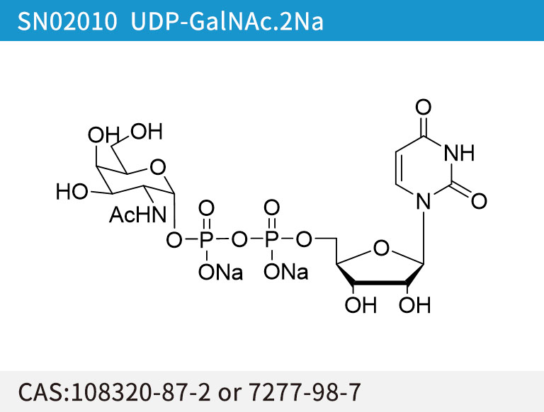 SN02010 UDP-GalNAc.2Na