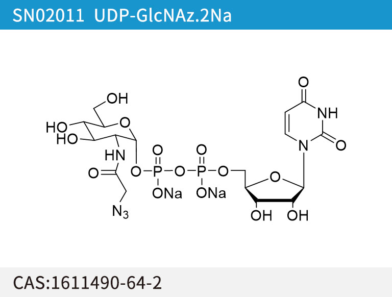 SN02011 UDP-GlcNAz.2Na