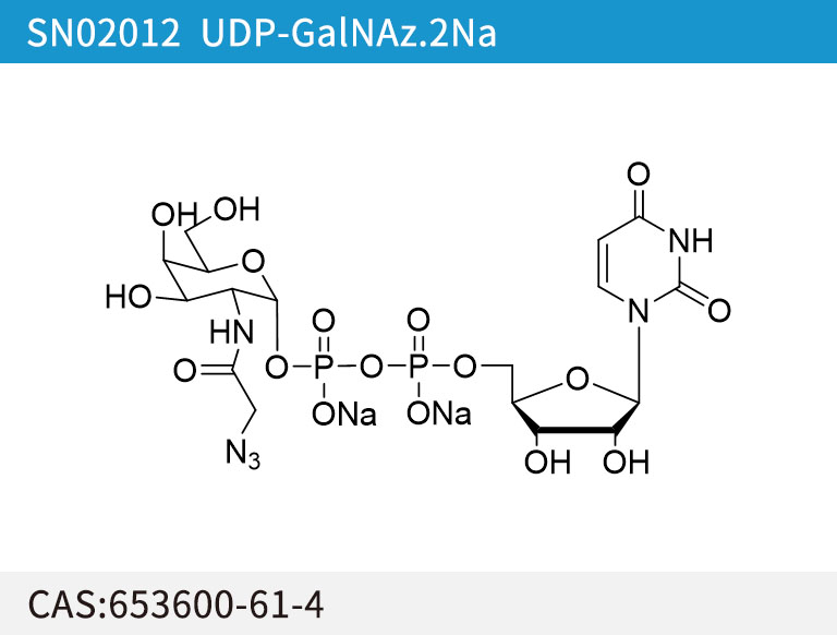 SN02012 UDP-GalNAz.2Na